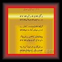 Dr saeed iqbal 01 * 22.03.2008 * 342 x 564 * (28KB)